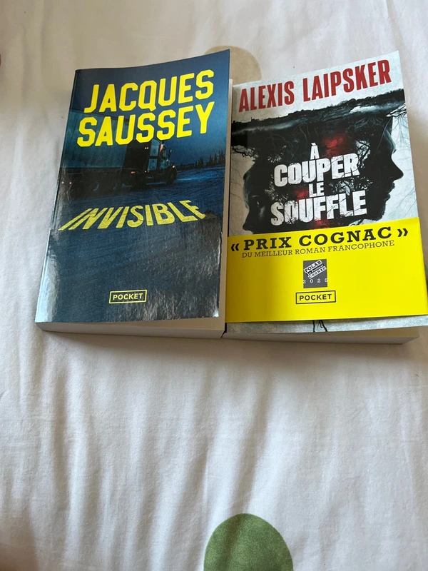 Lot 2 thrillers policier