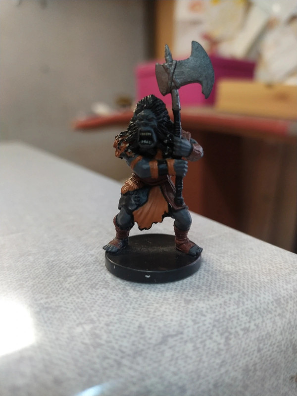 Dungeons & dragon miniatures game