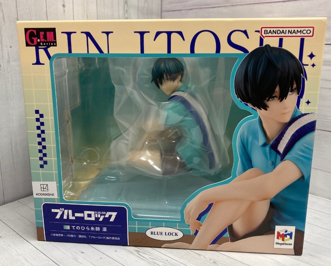 Figurine Itoshi Rin De La Série G.E.M. En Boîte Neuve Taille Palmier Bleue