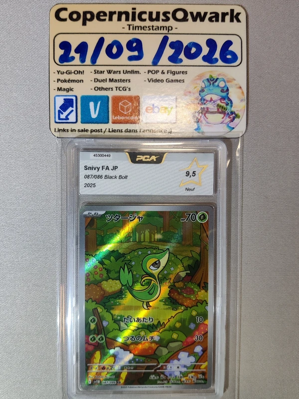 [Pokemon] Vipélierre (sv11B 087) [PCA 9.5]