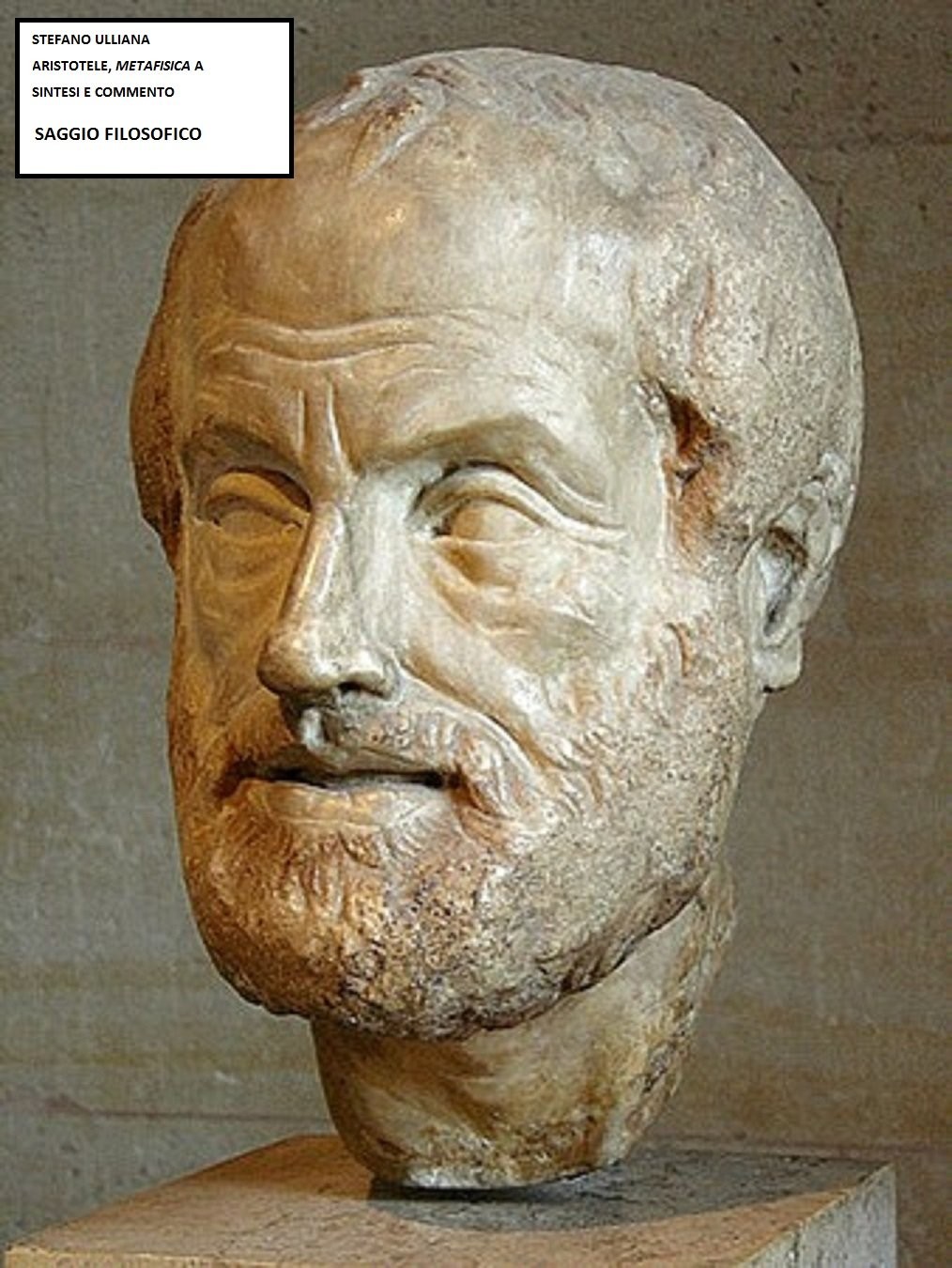Aristotele. Metafisica, A. : Sintesi e commento. (Saggi filosofici Vol. 1)