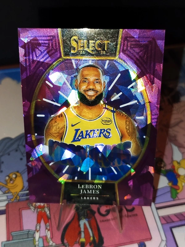 LeBron James Neon Icons NUM