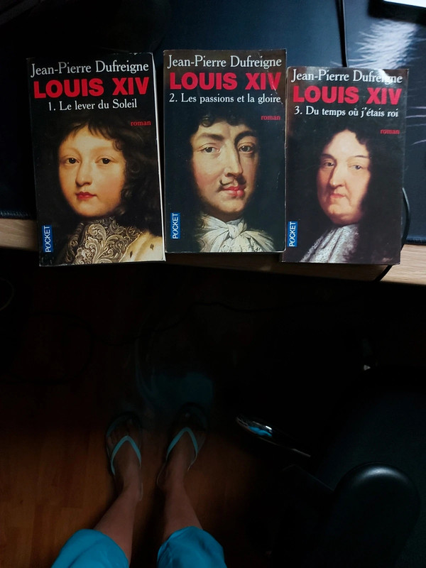 Lot 3 livres louis 14 jean dufreigne