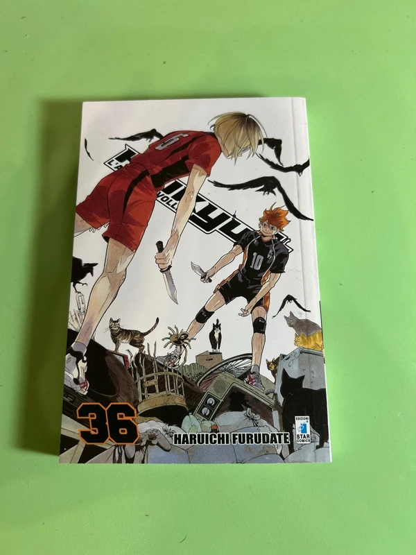Haikju!! 36