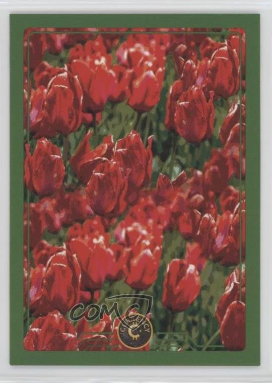 2022 Cardsmiths Valuta Tulipani #25 8nf