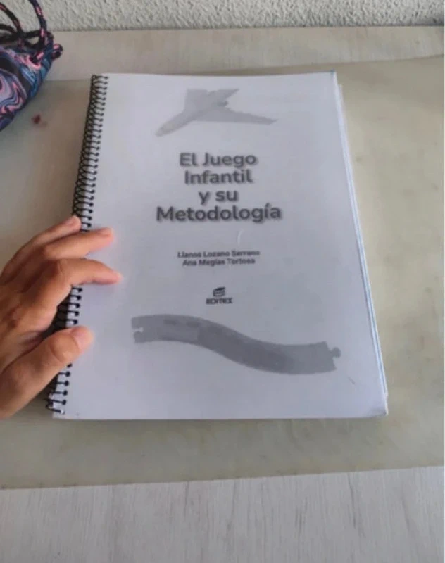 Libro de el juego infantil y su metodología