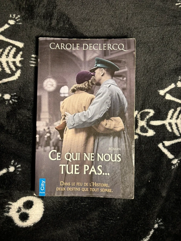 Ce qui ne nous tue pas - Carole Declercq