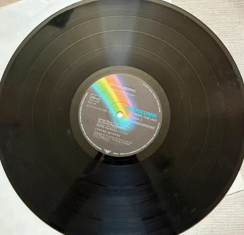 Lynhard Skynyrd Lp Vinyl Schallplatte 12“