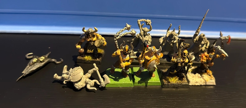 Warhammer 9x chaos marauders #2