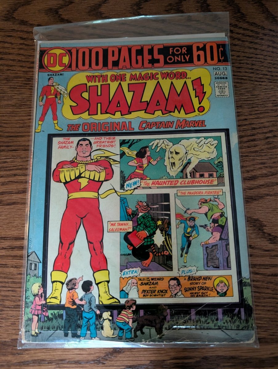 Shazam! The Original Captain Marvel #13 DC Comics 1974 100 pagine