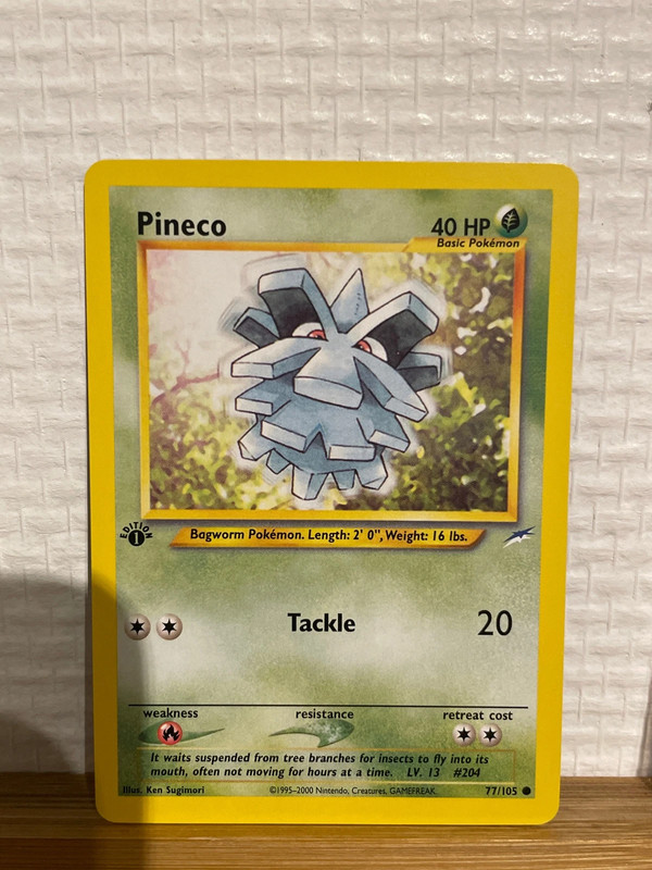 Carte Pokémon