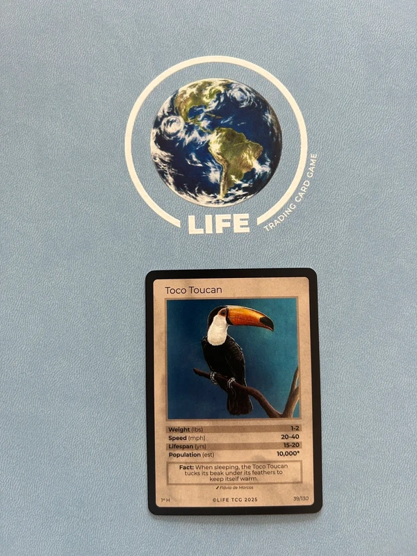 Life tcg 2025 toco toucan holo