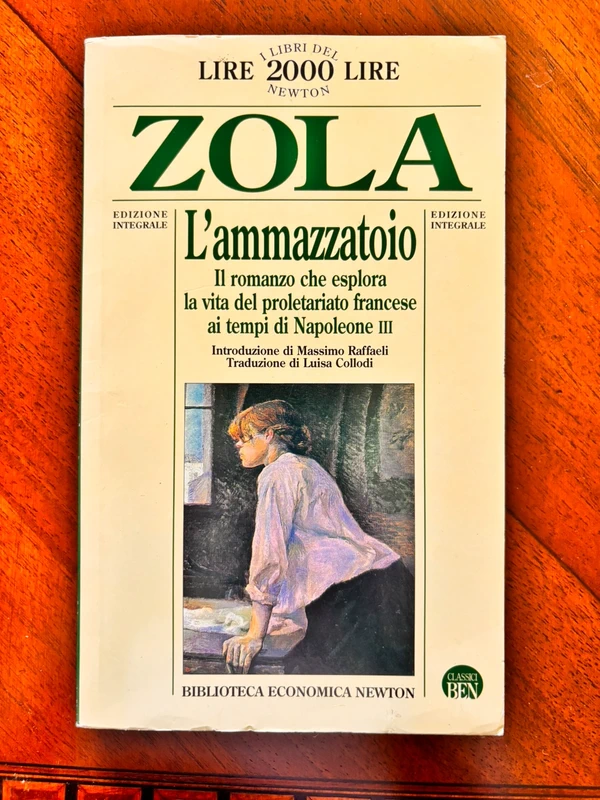 L'ammazzatoio (Les Rougon-Macquart, #7) - Émile Zola