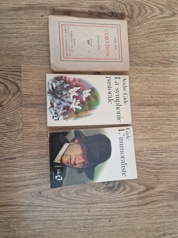 Lot de 3 livres res de A Gide
