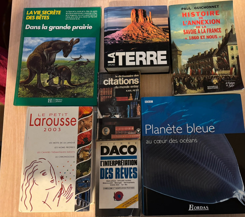 Pack dictionnaires et livres sérieux