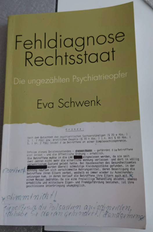 Fehldiagnose Rechtsstaat
