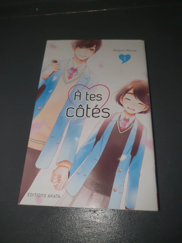 Manga à tes côtés