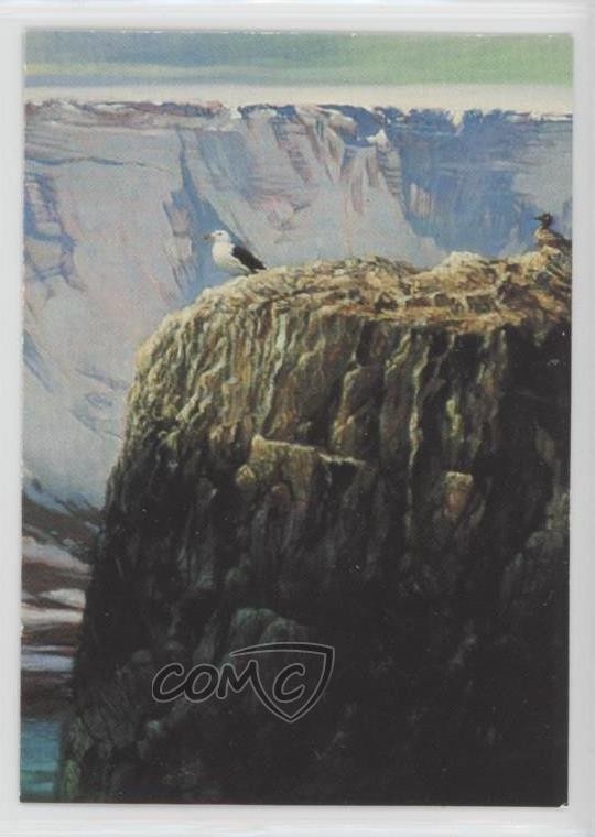 1994 Comic Images William Stout 2 Couthern Gabbiano dal dorso nero #80 0b6