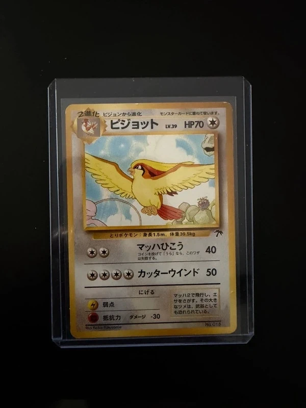 Roucarnage / pidgeot Southern Island Pokémon