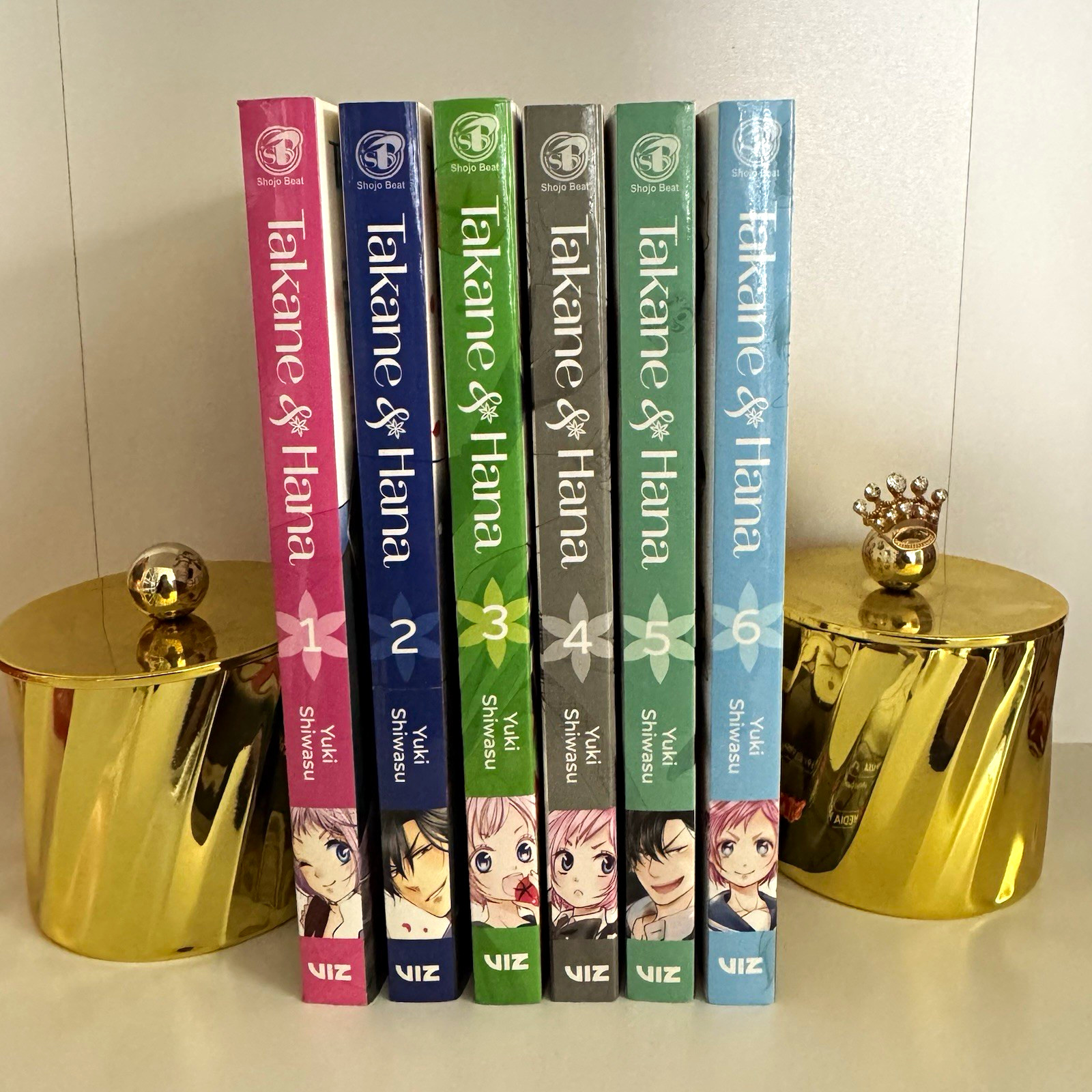Lotto manga Takane & Hana Vol 1-6 VIZ copertina morbida inglese di Yuki Shiwasu
