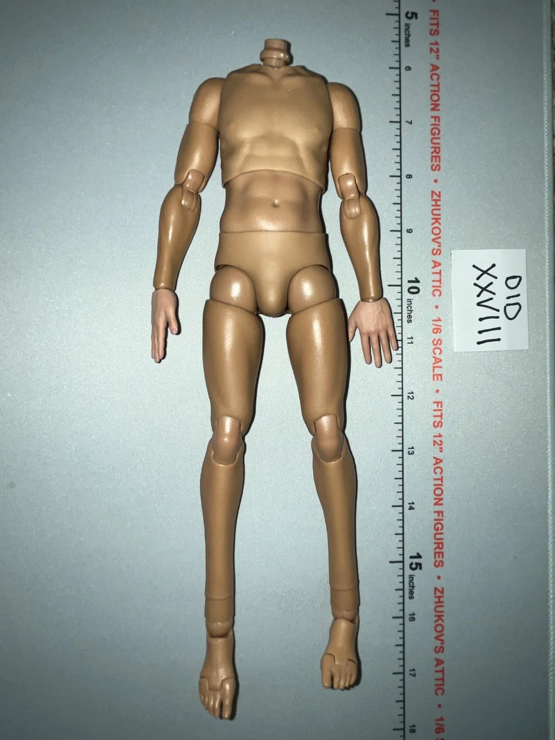 Corpo figura maschile nudo tedesco scala 1/6 seconda guerra mondiale - ufficiale Wehrmacht - Otto Remer