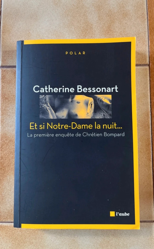 Catherine Bessonart : Et si Notre-Dame la nuit.