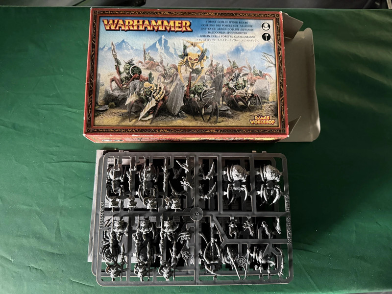 Goblin spider riders