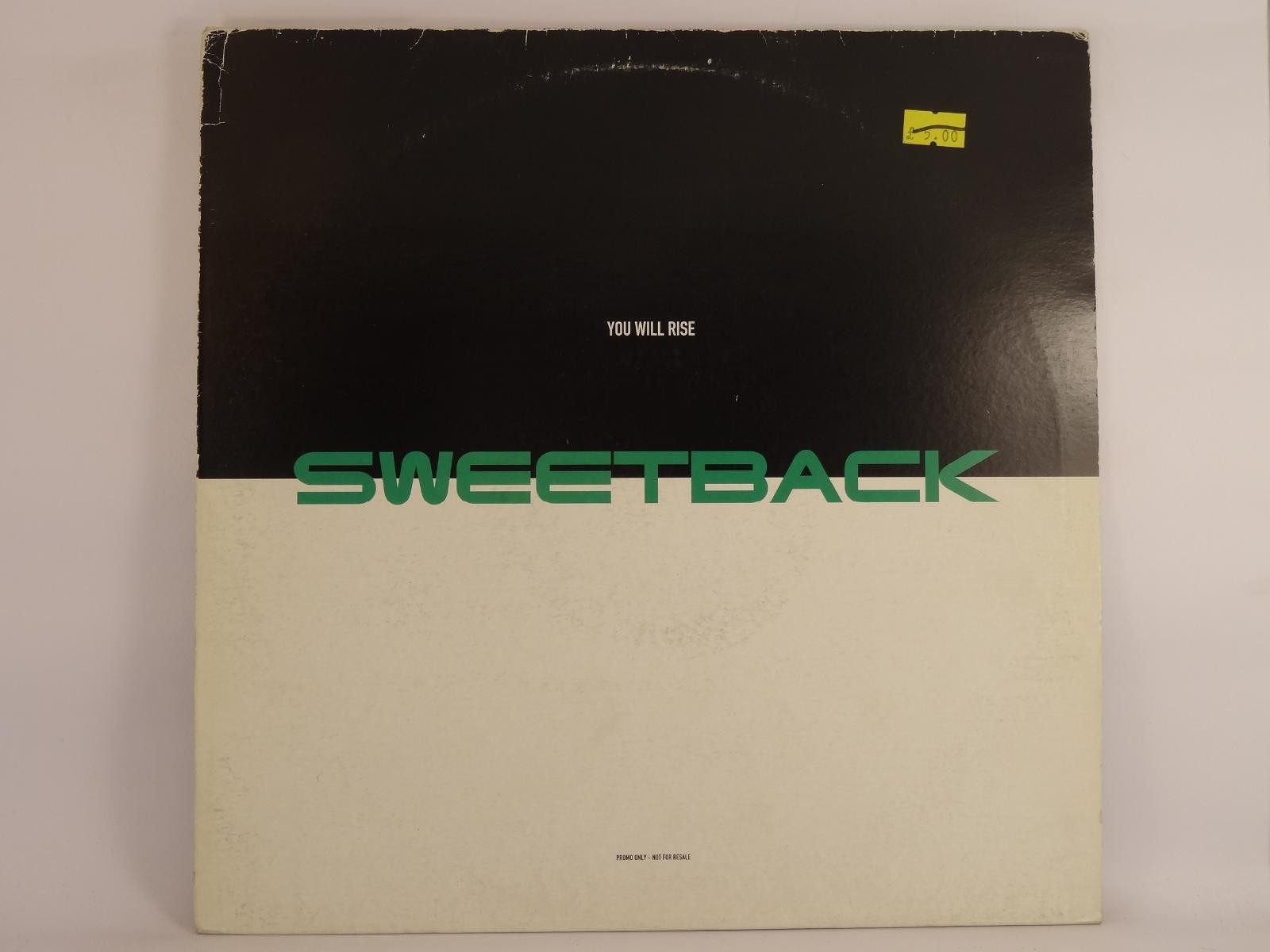 SWEETBACK YOU WILL RISE (150) 4 Track 12" Single including Picture Sleeve EPIC