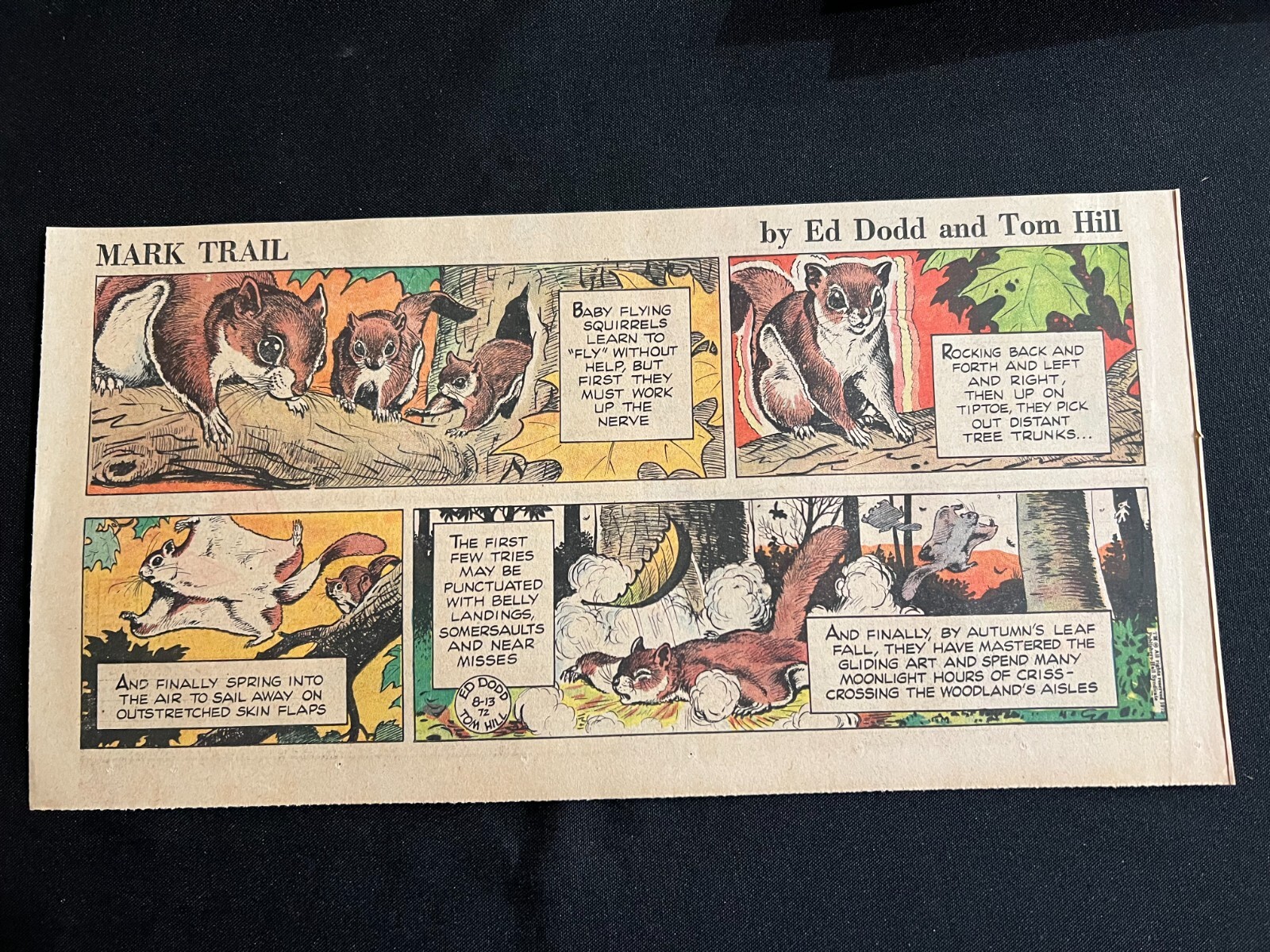 #19b MARK TRAIL di Ed Dodd lotto di 8 fumetti domenica terza pagina 1972