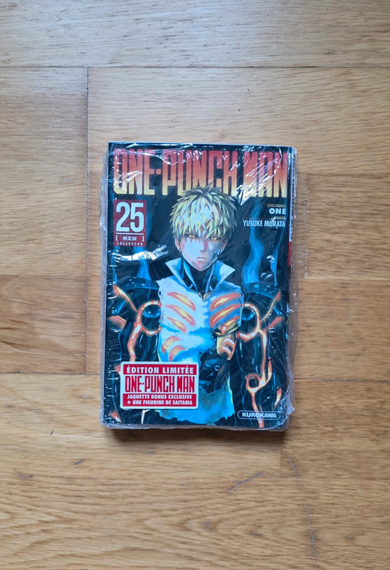 Lot de 2 mangas