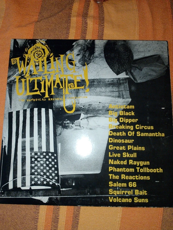 Squirrel bait, dinosauri jr. And others Variois Homestead records LP waiting ultimate