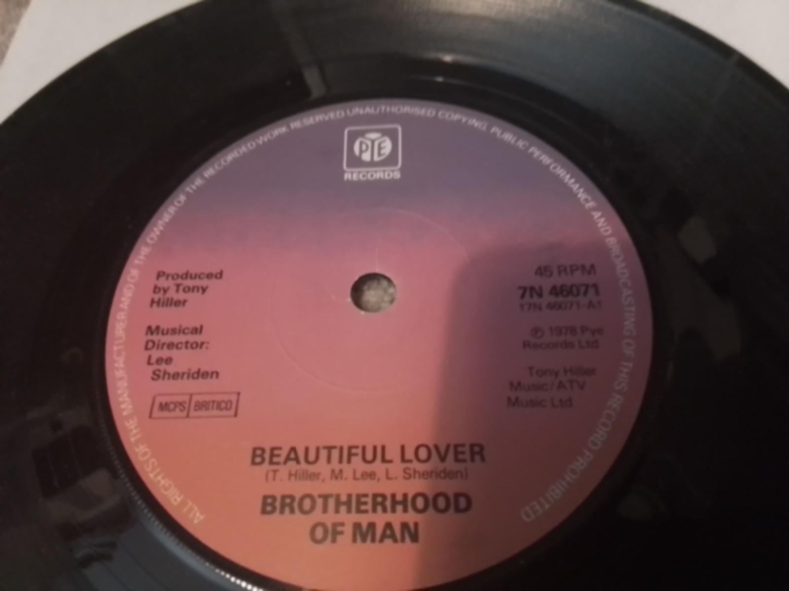 Brotherhood of Man  Beautiful Lover  SEE VIDEO
