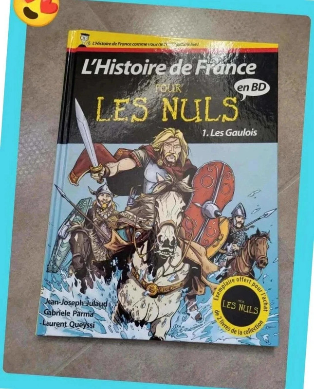 L'histoire de France pour les nuls numéro 1 les gaulois