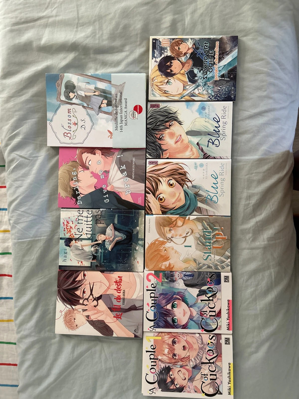Lots de mangas