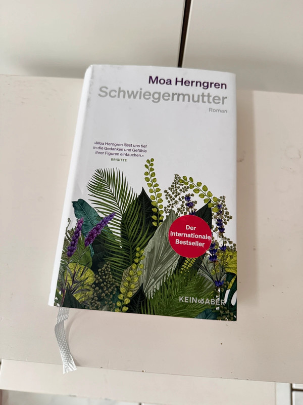 Moa Herngren Schwiegermutter Buch Roman