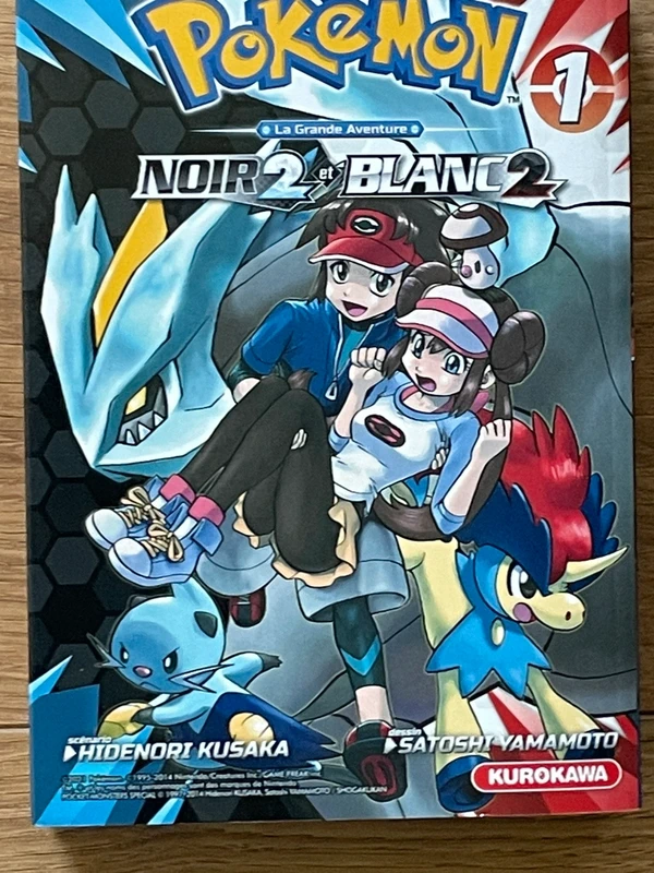 Mangas Pokémon, noir deux et blanc deux