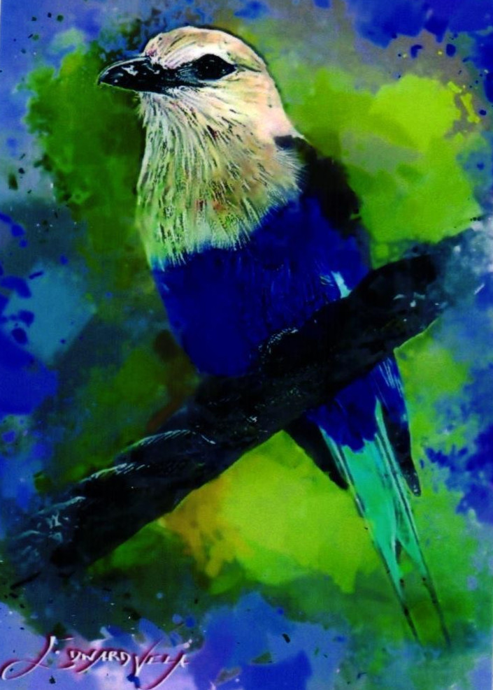 Blue-Bellied Roller 2025 Artista Firmato Edizione Limitata Stampa Card 14 di 50