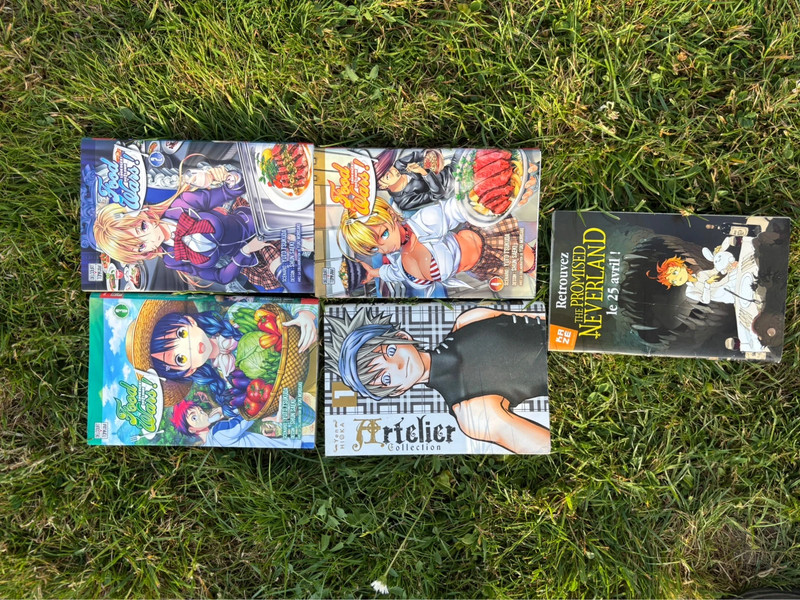 Livre manga, bande dessinée