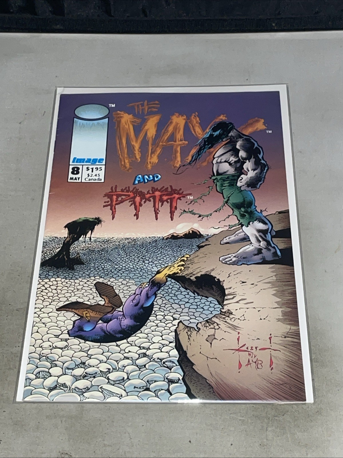 The Maxx #8 High Grade NM Sam Kieth Pitt Cover 1994 Image Comics