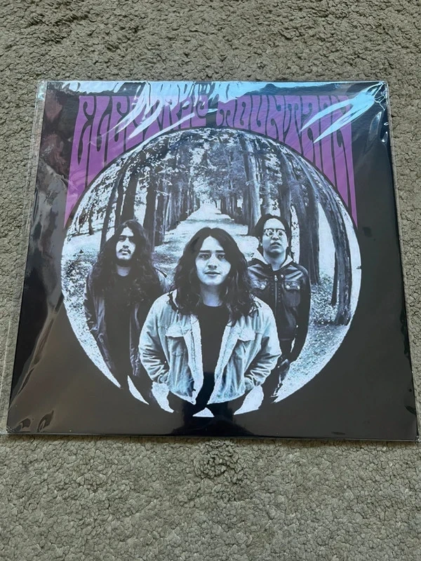 Electric mountain vinyl