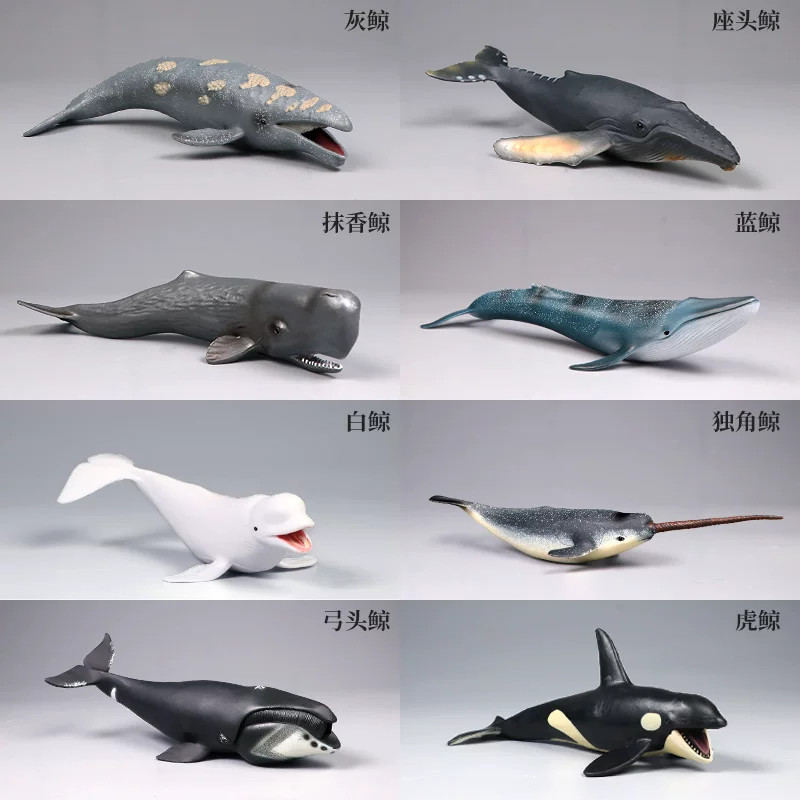 Set bambola action figure giocattolo animale marino simulazione balena modello balena animale marino