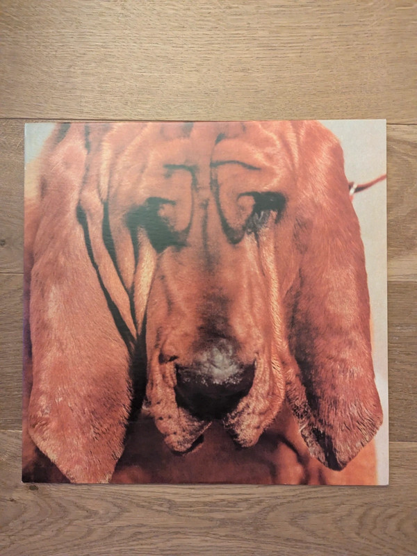 LP 33t album vinyle Ty Segall Goodbye Bread (2011)