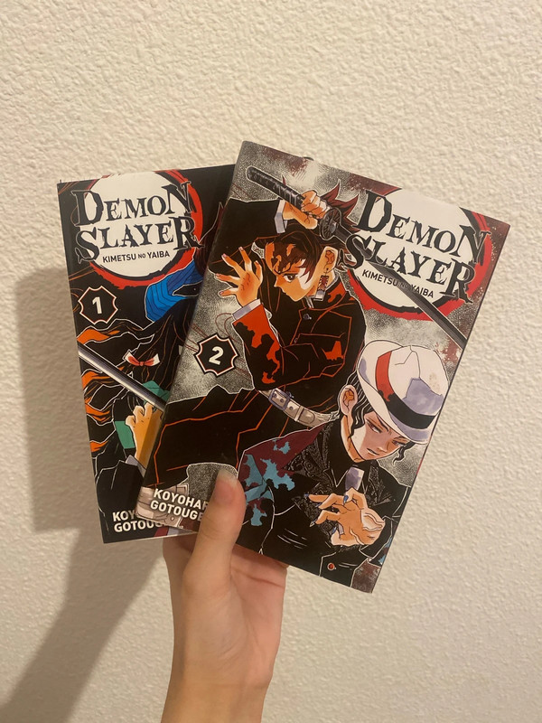 Tome 1 et 2 demon slayer