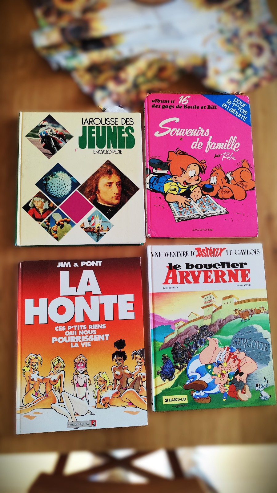 Lot Bd Astérix – Le Bouclier Arverne Boule et Bill n°16 – Souvenirs de famille 