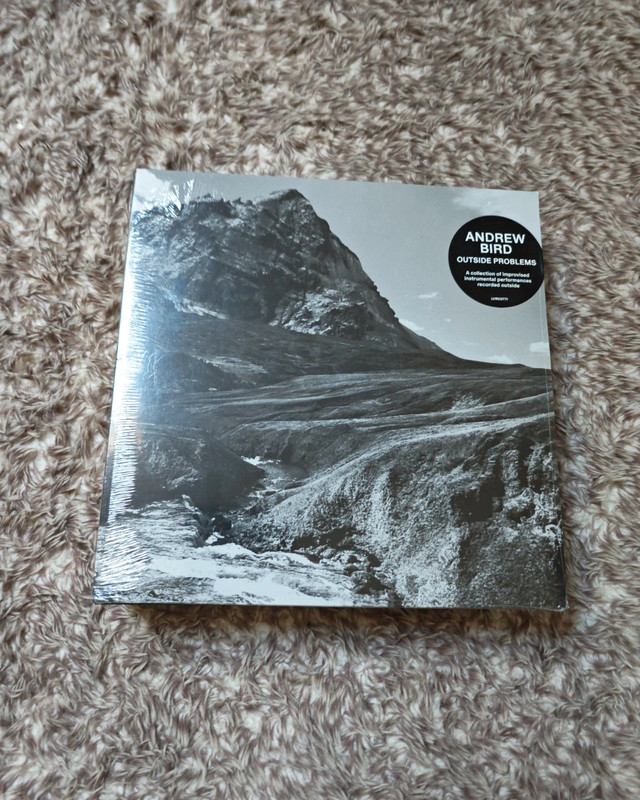 Vinyle Andrew bird outside problems