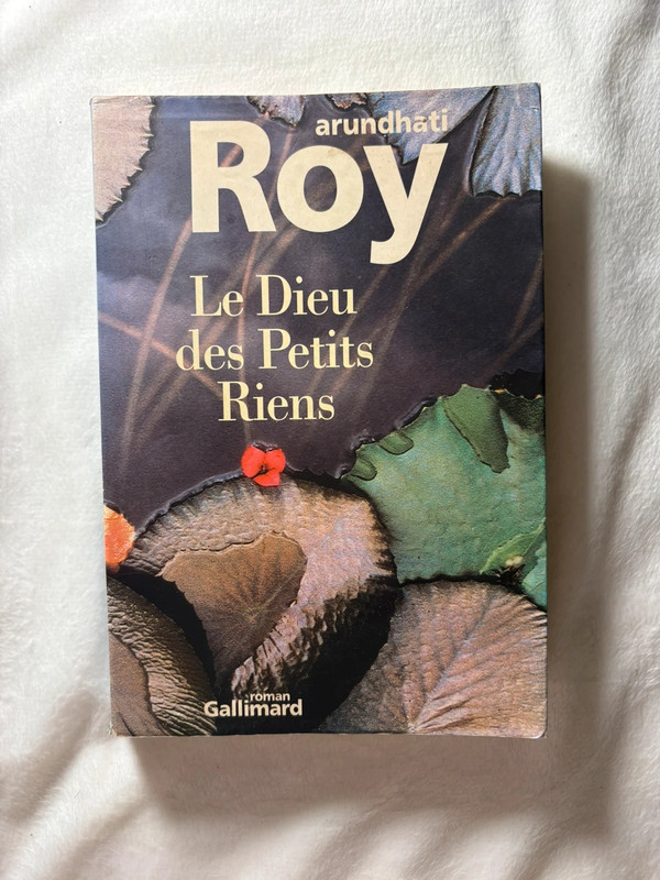 Roman : Le dieu des petits riens