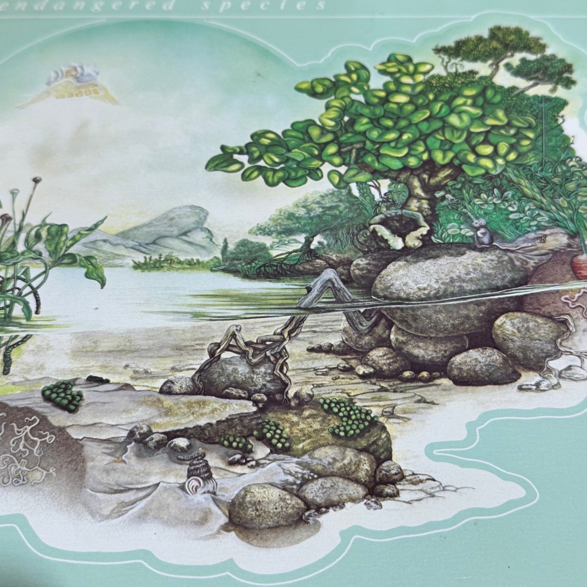 Klaatu Endangered Species 1980 Original Pressing Daffodil SBA16060