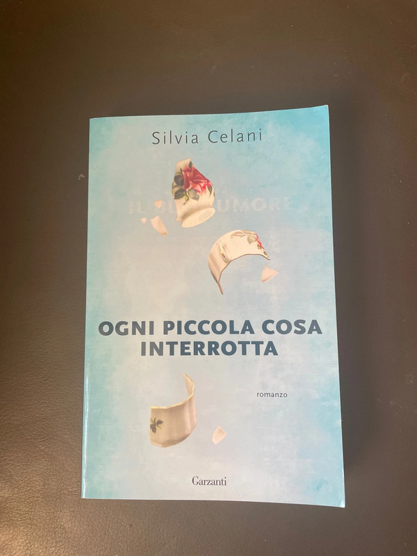 Ogni piccola cosa interrotta  Silvia Celani