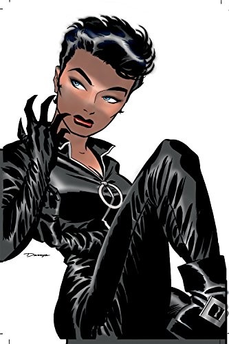 CATWOMAN VOL. 1: TRAIL OF THE CATWOMAN di Darwyn Cooke & Ed Brubaker **come nuovo**