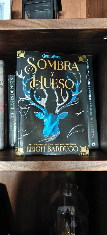 Libro Sombra y Hueso